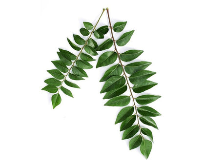 Herb, Curry Leaves - 50g
