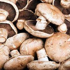 Mushroom, brown - 250g punnet