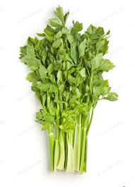 Celery, Soup, Bunch