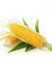 Sweetcorn - 4 per pack