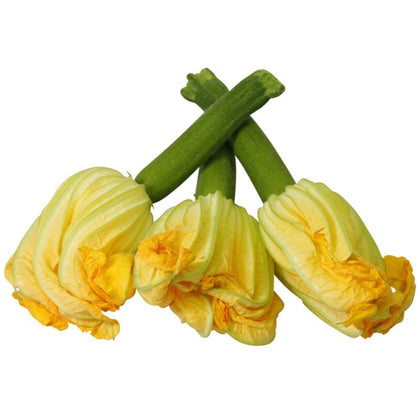 Zucchini Flowers - Punnet