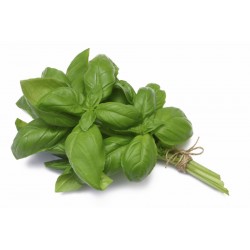 Herb,Basil - 50g