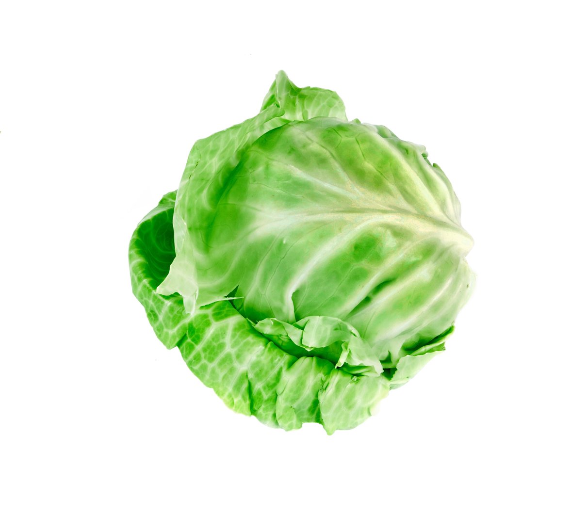 Cabbage, baby green, each