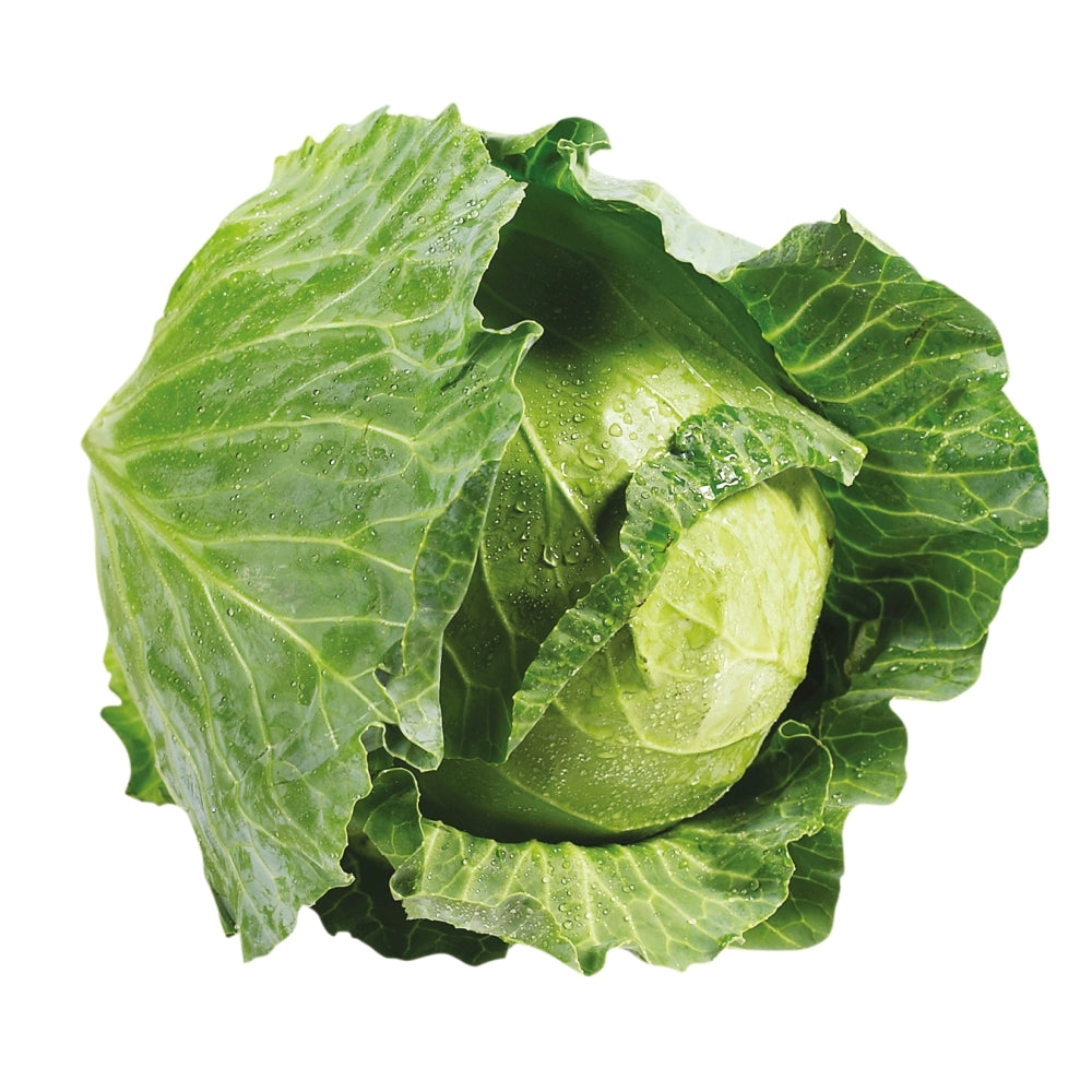Cabbage, Green, each