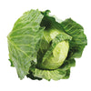 Cabbage, Green, each