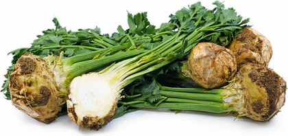 Celeriac / 500g