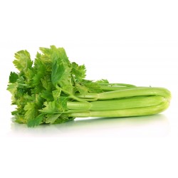 Celery, Table, bunch