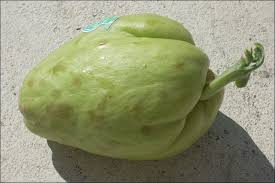 Chayote Fruit / Shu Shu - Each