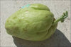 Chayote Fruit / Shu Shu - Each