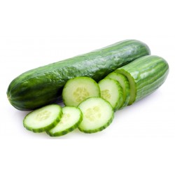 Cucumber, large / XL, each