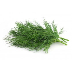Dill - 50g