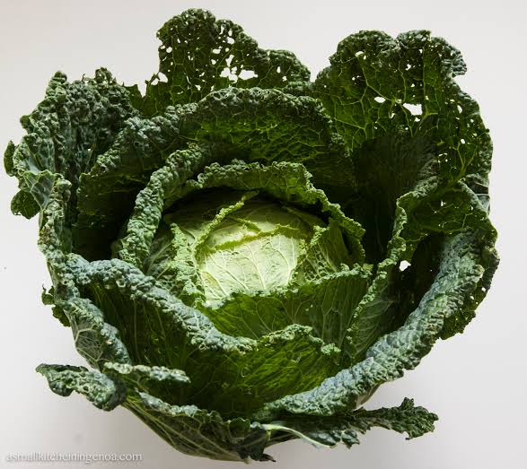 Savoy Cabbage (organic) each