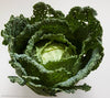 Savoy Cabbage (organic) each