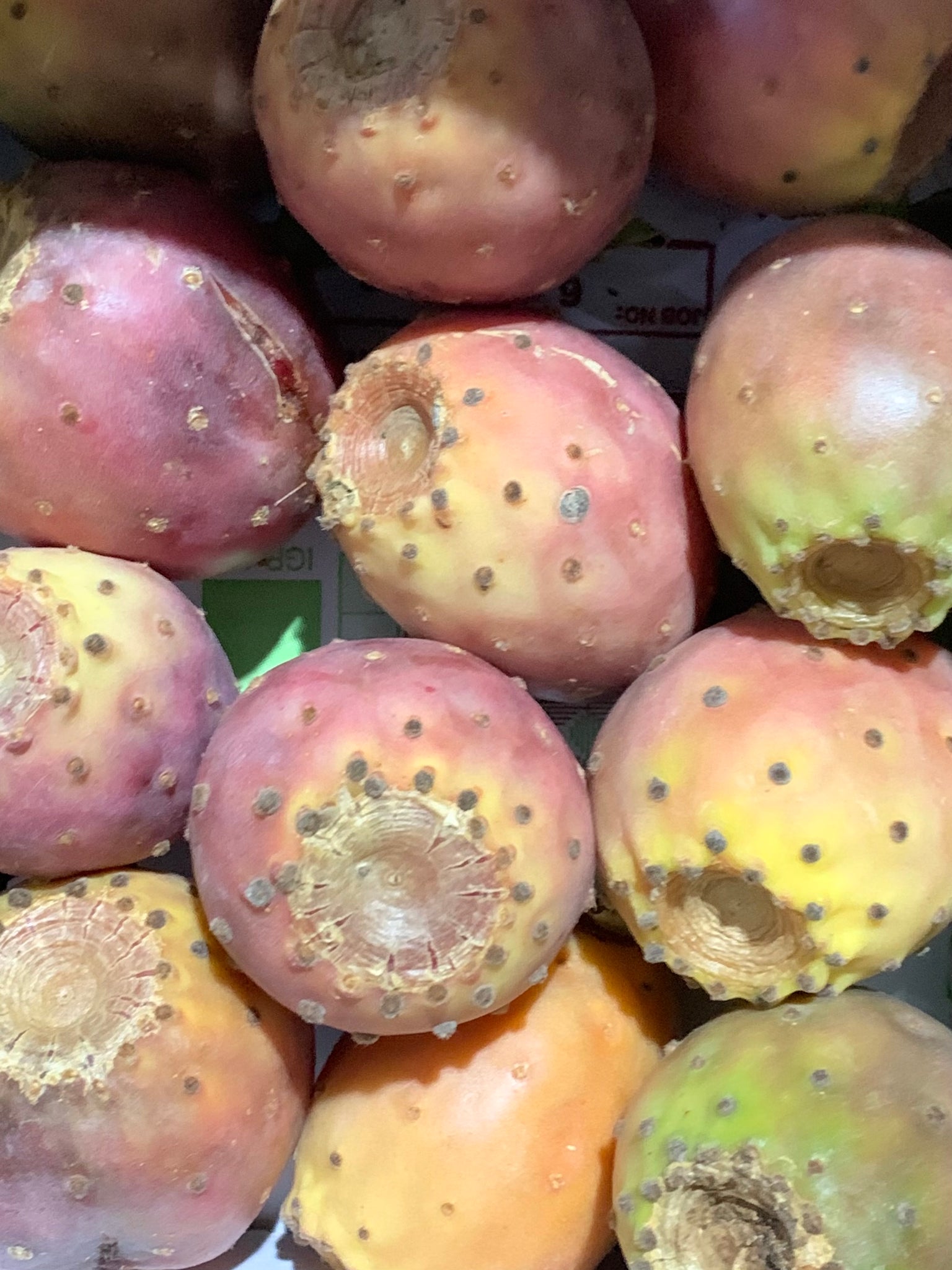 Prickly Pear - 1Kg
