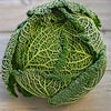 Savoy Cabbage (organic) each