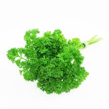 Herb, Parsley, Curly - Bunch