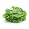 Lettuce, Butter, 200g prepack