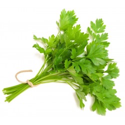 Herb, Italian Parsley - 100g