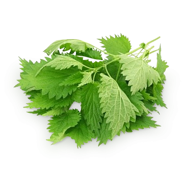 Stinging Nettle - 100g