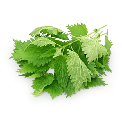 Stinging Nettle - 100g