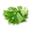 Stinging Nettle - 100g