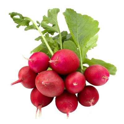 Radish - Bunch