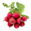 Radish - Bunch