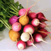 Radish, Rainbow - bunch