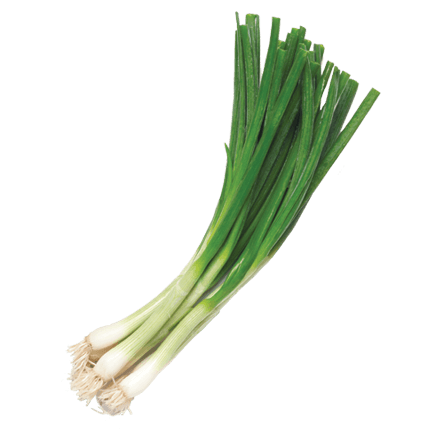 Spring Onion - Bunch