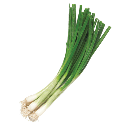 Spring Onion - Bunch