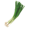 Spring Onion - Bunch