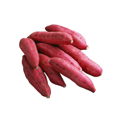 Sweet Potato, Red - 1Kg