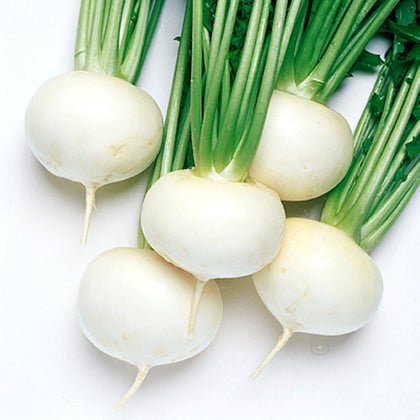 Turnips, baby - 250g
